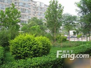 复试2层地铁口电梯房房主诚心卖