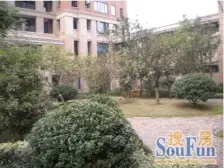 重磅,新楚(更好的房子,适合更好的您)