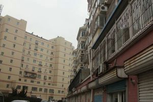 新世纪现代公寓 1室1厅 东 南