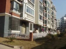 银杏家园顶楼86平带露台 18万,看中可谈