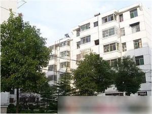 公园旁两室一厅双阳台采光好