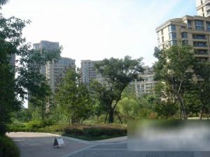 绿园小区