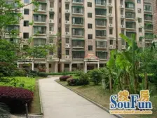 南沟街三楼,户型方正 楼层好,南北通透