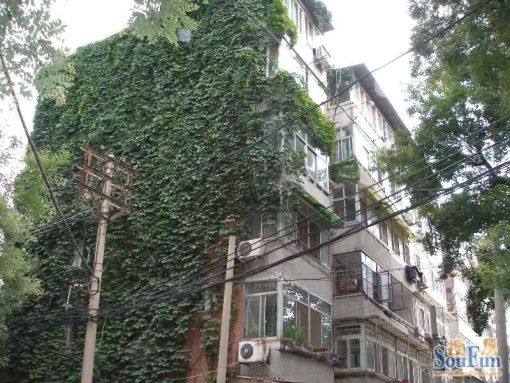 长椿街12号院2室1厅1卫东西朝向12000.00元/月出租
