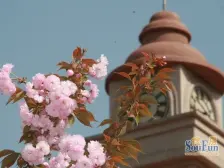 天马相城二期 3室2厅 南 北