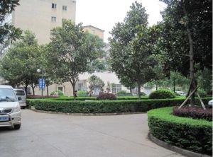 【王公塘社区】| 湖南省长沙市雨花区人民路王公塘附1号A栋405房产(实勘为金蕾苑1栋1单元401号房)