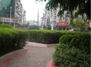 王公塘社区3室1厅南