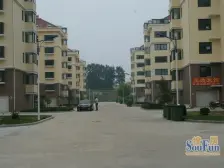 东陌堂新区 2室1厅 南 北