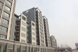 龙居甲苑2室1厅南北