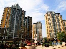 鲁花东上海赋 4室1厅 南 北