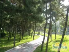 碧海苑 88平 全明户型 2室2厅 南北通透