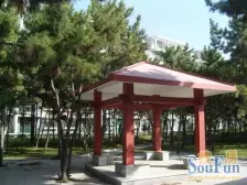 南山碧海苑 3室1厅 南 北