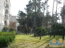 南山碧海苑 2室2厅 南 北