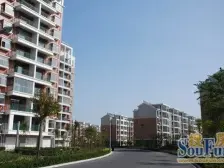 碧海苑步梯五楼的一层房子急售急售