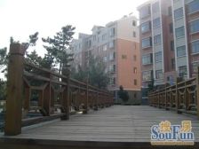 南山碧海苑4室2厅南北