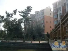 南山碧海苑 1室0厅 东