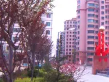 荣祥花园 3室1厅 北