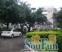 福鑫家园 3室1厅 南 北