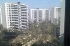 大山地 7室2厅 南