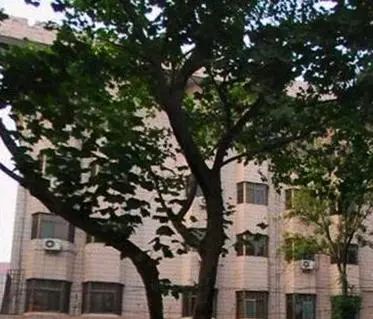 堤口路国家电网宿舍3室1厅1卫南北朝向1300.00元/月出