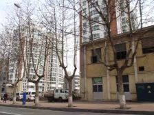 大海阳路南大街旁出行方便户型方正诚心售价格可议