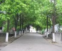 隆庆河畔家园 2室1厅 南 北