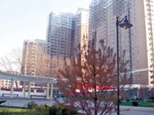 双龙绿色家园 3室2厅 西南