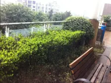 龙头寺 鲁能星城五街区四房370万