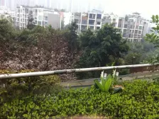 此房是正规的两房,带标,看房方便