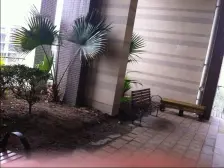 朝南看公园 户型NO1 诚心出售 次新小区 精装