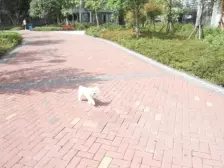 住家装修,环境优美,诚心出售,看房提前联系