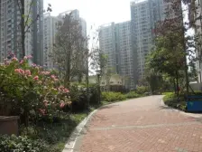 诺丁阳光35.66平米43万带车位安心卖,