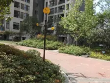 天星桥 诺丁阳光小区 环境大 适合居住