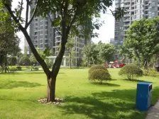 诺丁阳光 1室1厅 南