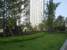 三峡广场 清水三房 户型方正 视野好