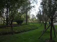 小龙坎 诺丁阳光二房58.7万