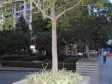 小龙坎 诺丁阳光精装4房 优质