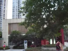 诺丁阳光 1室1厅 东南