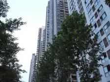 正规两房,带大外阳台,朝中庭,安静
