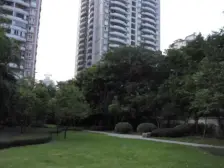 小龙坎 诺丁阳光一房46万