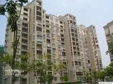 东沟路 新精装修 两室一厅 格局好 采光好