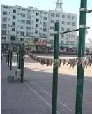 奇山中街 2室1厅 南 北