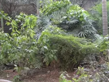 七星岗 水市巷一房22万