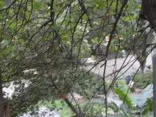 七星岗 水市巷一房22万