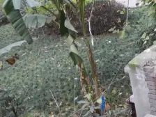 七星岗 水市巷一房22万