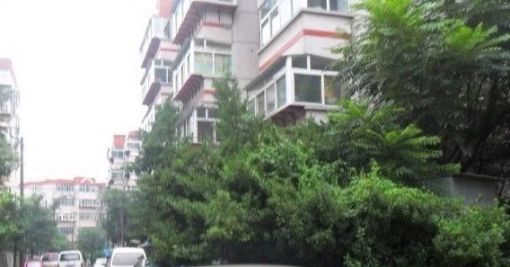 双龙龙盛苑3室2厅1卫南朝向1850.00元/月出租