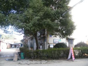 长沙轴承厂河西宿舍2室2厅南