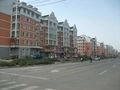 文林小区1室1厅1卫南朝向700.00元/月出租