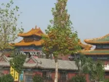 南山城市花园东区 2室2厅 南 北