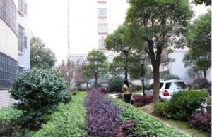 时代天骄3室2厅南北